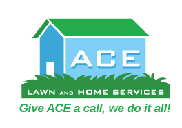 Landscaping Services, Tampa, FL